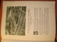 Delcampe - 1946 Livre Book Belgique Amerique Latine Belgie  Industrie In America Advertisment Ads - Sonstige & Ohne Zuordnung