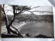 Delcampe - LE LAVANDOU   / JOLI LOT DE 22 CARTES  / TOUTES LES PHOTOS - Le Lavandou