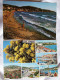 Delcampe - LE LAVANDOU   / JOLI LOT DE 22 CARTES  / TOUTES LES PHOTOS - Le Lavandou