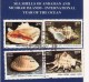 Stamped Information On Sea Shells, Shell, Andaman Nicobar Islands, Marine Ecology Environment, India 1998 - Coneshells