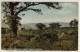 Postcard Of  Grindleford With Half Penny Green Stamp + " GRINDLEFORD.BRIDGE  /  SHEFFIELD /  1908 " - Marcophilie