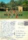 Kodak Hula Show, Kapiolani Park, Honolulu, Hawaii, United States US Postcard Used Posted To UK 1979 Stamp - Honolulu