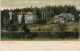 ALLEMAGNE - VILLINGEN - Waldhotel (1904) - Villingen - Schwenningen