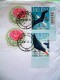 South Africa 2010 Cover To Nicaragua - Round Stamp - Flowers - Birds - Brieven En Documenten