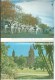 Delcampe - Colour Views Of Adelaide A Pitt Card  Lettercard  12 Views A Pitt Card  Front & Back Shown - Adelaide