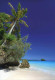 Entier Postal De 2013 Sur CP "Lifou : Cocotier Sur La Plage De Luengoni" - Interi Postali