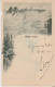 Rheinfall Vom Fischetz 1901 - Sonstige & Ohne Zuordnung
