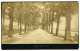 Zwolle. Veerallee (Allée Du Veer). Harde Foto, Formaat 19 X 12 Cm. Goud Op Snee. Ca.1890 - Zwolle