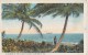 BT17289 Fla Palm Beach A Glimpse Of The Atlantic Ocean USA Scan Front/back Image - Palm Beach