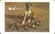 DOG * ANIMAL * SHOE * CALENDAR * Mino 1977 * Hungary - Petit Format : 1971-80