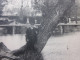 MILITARIA 3 Juin  1916 CPA De Montpellier (Hérault)pont Du Génie Sur Le LEZ -Capestan  éditeur Montpellier Pour Narbonne - Montpellier