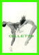 DANSE - BODYTALKV - GERT WEIGELT - DANCERS, MICHAEL HALL &amp; INGA STERNER - GALLERY CARD - - Danse