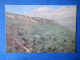 Arslan-Bob - Hazel Thickets - Nature Of Kyrgyzstan - 1969 - Kyrgyzstan USSR - Unused - Kyrgyzstan