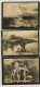 Set Of 5 Pictures Walrus Fishing, Eskimos Polar Sailing Boat Serie 5 Photo Morse Polaire - Greenland