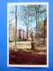 Grille - Sculpture - The Summer Gardens - Leningrad - St. Petersburg - 1971 - Russia USSR - Unused - Russie