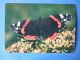 The Red Admiral - Vanessa Atalanta - Butterfly - Insects - 1980 - Russia USSR - Unused - Insects