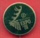 F1335 / PLOVDIV - EXPO 1981 World Fair, World Exposition Or Universal Exposition  DEER - Bulgaria Bulgarie - Badge Pin - Marche