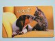 Hallmark ( 23 ) Gift / Wens Card / Hond Kat ( Formaat En Materiaal Idem Als Bankkaart ) !! - Gift Cards