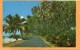 Tahiti Old Postcard Mailed To USA - Tahiti