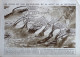 Delcampe - LE MIROIR N° 97 / 03-10-1915 FOCH MER ÉGÉE MOUDROS ALSACE SERBIE ESCADRILLE SPAHIS MAROCAINS GAZ ASPHYXIANTS ARMÉE RUSSE - Weltkrieg 1914-18
