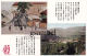 Illustrateur Et Photo - Asie - Indonésie - Chine - Japon - Volcan, Etc. -  (voir Scan Recto-verso). - Autres & Non Classés