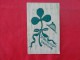 Holidays & Celebrations > Saint-Patrick's Day  1907 Cancel   Ref 1240 - Saint-Patrick's Day