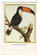 Delcampe - 1 LOT DE 9 CARTES MODERNES "L´HISTOIRE NATURELLE DES OISEAUX" D'après MARTINET - 5 - 99 Karten