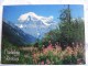 Delcampe - CANADA / LOT DE 17 JOLIES CARTES / TOUTES LES PHOTOS ET DESCRIPTIFS - Cartes Modernes