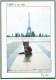 Paris - Chat Chaton Cat Cats Chats ( 2 Scans) - Chats