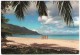 SEYCHELLES - BEAU VALLON BAY / THEMATIC STAMPS-BIRDS - Seychellen