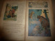 1911 MON JOURNAL: Dessins (René Vincent , Harry Eliot) ;Kra-Gul Pte Fille à L'Âge De Pierre; BONAPARTE Et La Marchande - Other & Unclassified