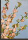 5k. Germany DDR, Frohe Pfinsten Pentecost - Flowers Flora 1963 - Pinksteren