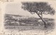 1904, MARSEILLE LIGNE DE TUNIS,  CARTHAGE POUR PAYERBACK AUTRICHE/893 - Poste Maritime