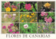 España--Tenerife--Flores De Tenerife--Franqueo Gloucester - Flowers