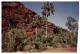 (PH 33) RTS Or DLO Postcard - Australia - NT - Palm Valley - The Red Centre