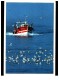 Delcampe - Lots De Bateaux 45 Cartes - 5 - 99 Cartoline