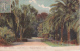 CPA Alger - Jardin D'Essai - Yuccas Et Palmiers - 1917 (2417) - Norwegen