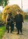 IRELAND Irlande Farmer With Hay Cart (fermier Charrette De Foin) (Timbre Stamp "EIRE  Narcissus Founding")*PRIX FIXE - Autres & Non Classés