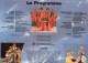 69 - LYON - BEAU PROGRAMME HOLIDAY ON ICE -18 OCTOBRE 1986- MAURICE ANELLI- LES RASTELLIS- DAVID COUSANS- - Programmes