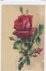 CARD KLEIN ROSA RETRO COLLEGIO SALESIANO DI CUORGNE' AUGURI DI FELICITA'  2-scanner-FP-V-2- 0882-20203 - Klein, Catharina