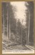 LE CHAMBON DE TENCE (Hte Loire) - La Forêt En Exploitation - Voyagée 1917 - FORÊT- BOIS - ARBRE -EXPLOITATION FORESTIERE - Le Chambon-sur-Lignon