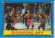 Delcampe - Mixed Lot Of 16 Glossy Wrestling Cards WCW, TNA, WWF By TOPPS, NITRO, PACIFIC, MERLIN - Trading Cards