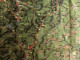 Delcampe - ARAL BV-Tourenkarte Schwarzwald - Nördlicher Teil -  Von Ca. 1955 - 1 : 125.000  -  Ca. Größe : 69 X 62,5 Cm - Mappemondes