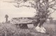 Les Environs De SAINT-BENOIT (Indre) : Le Dolmen Des Gories - Dolmen & Menhirs