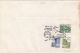 BIRD, LITTLE EGRET, SPECIAL COVER, 1993, ROMANIA - Pélicans