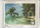 PO4888C# MALDIVE ATOLL  VG 1990 - Maldiven