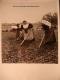 PHOTO PROPAGANDE ANNEES 1940 - RELIGIEUSES AGRICULTRICES AGRICULTURE - TIRAGE D´EPOQUE - 13X18 - Professions