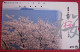 Telefonkarte Asien Japan NTT Blüten Landschaft Telephone Card 1993 - Jahreszeiten