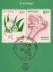 Stamped Information On 1991 Greetings, Frog, Bird, - Covers & Documents