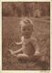 AK Lotte Herrlich Kind Junge "Nackedei" 1938 #2320 - Herrlich, Lotte